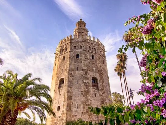 7 torre oro